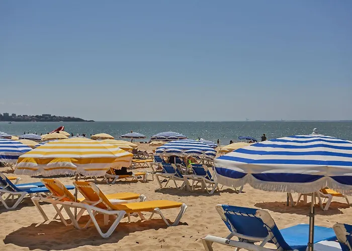 Résidence Odalys L'orée Du Parc