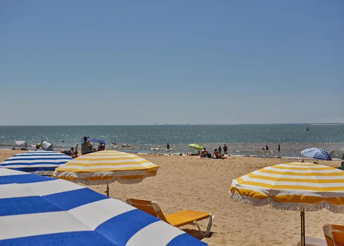 Odalys L'oree Du Parc アパートホテル